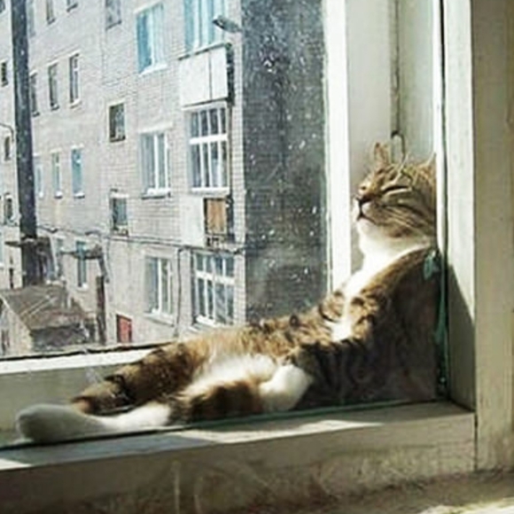 Who i am.....chill - Picture 1 of 1